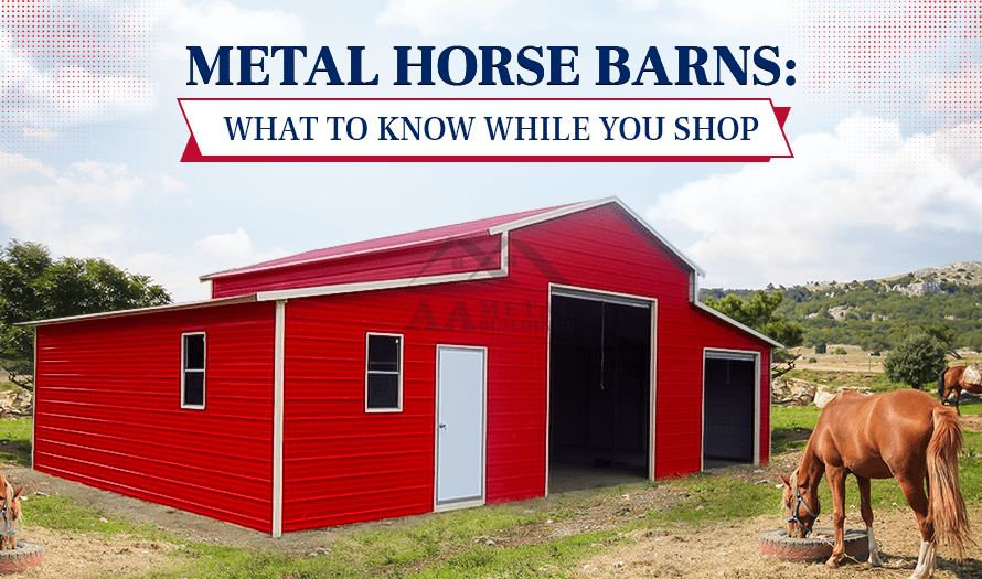 Metal Horse Barns: What to Know While You Shop
